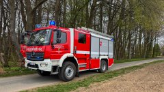 TH1 - Droht Ast zu fallen