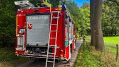 Umgestürzter Baum beschädigt Telefonleitung in Eickstüve