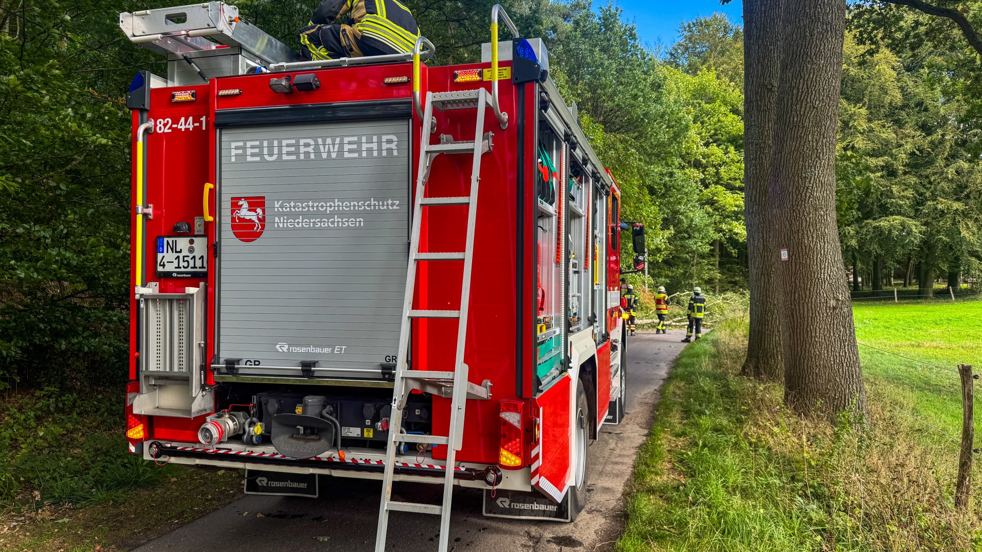 Umgestürzter Baum beschädigt Telefonleitung in Eickstüve
